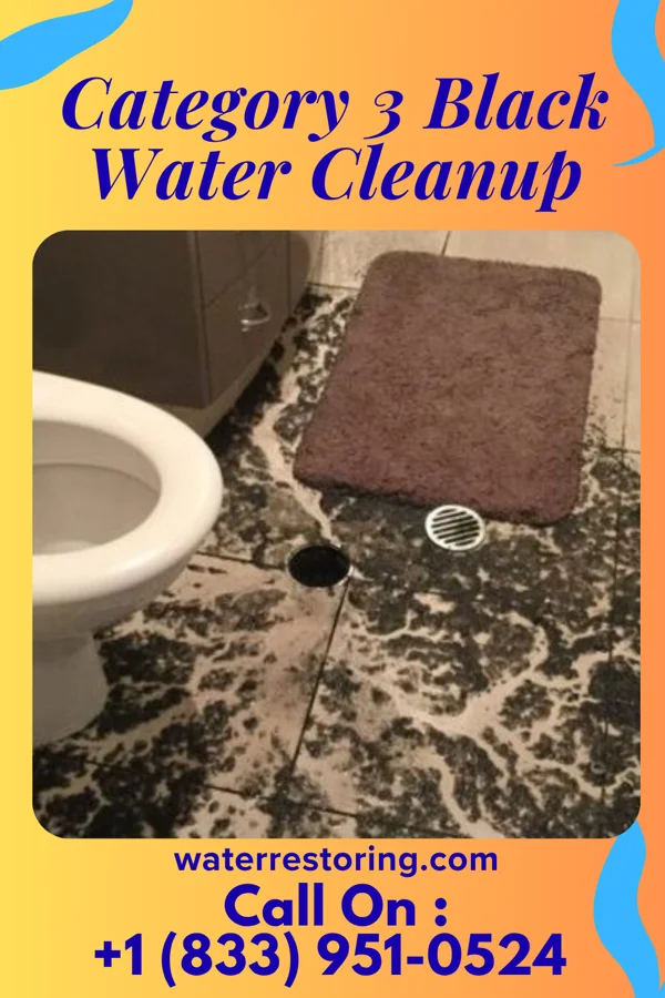 Category 3 Black Water Cleanup in Perry, IL